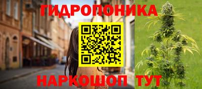 гашик Новозыбков