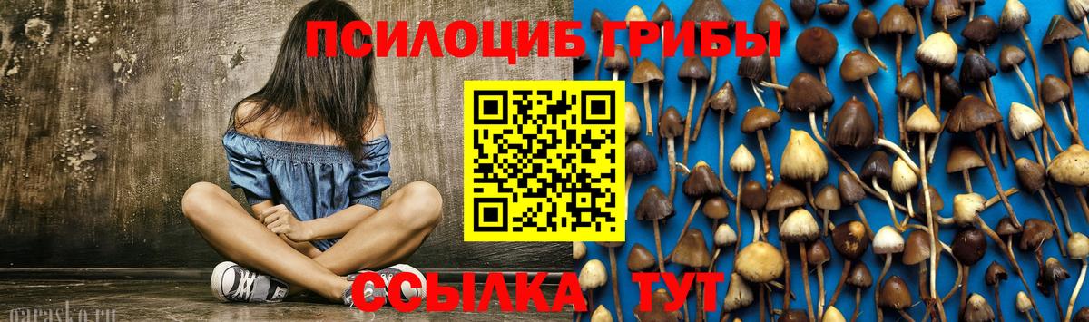 Псилоцибиновые грибы GOLDEN TEACHER  Вход с VPN  Троицк 